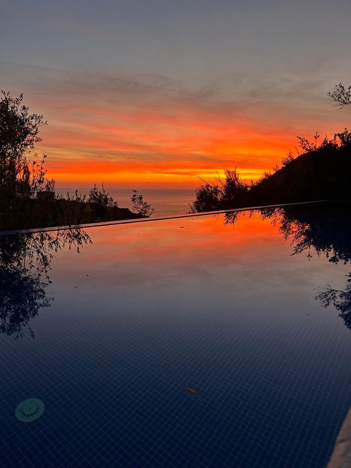 Apartament Mongoose Herceg Novi Zewnętrze zdjęcie