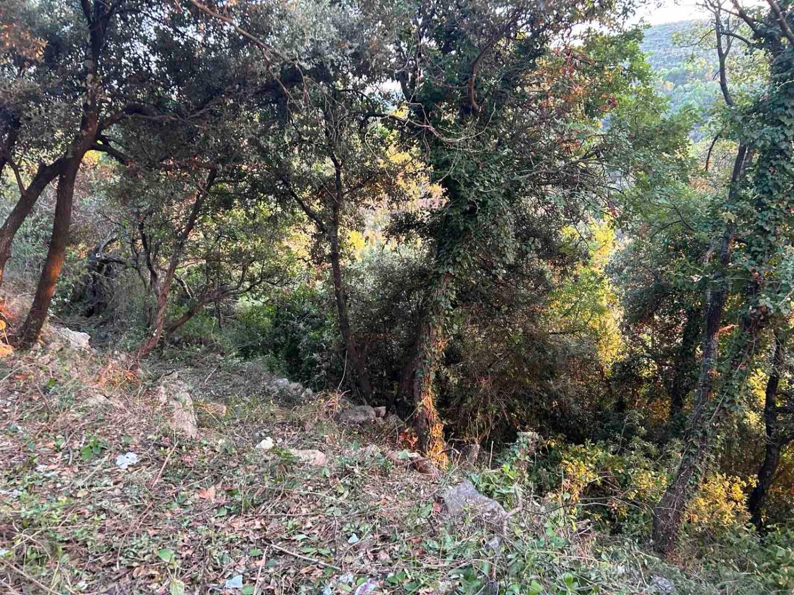 Apartament Mongoose Herceg Novi Zewnętrze zdjęcie