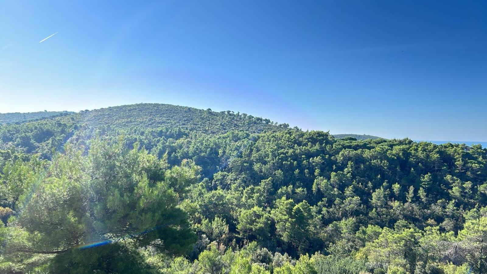 Apartament Mongoose Herceg Novi Zewnętrze zdjęcie